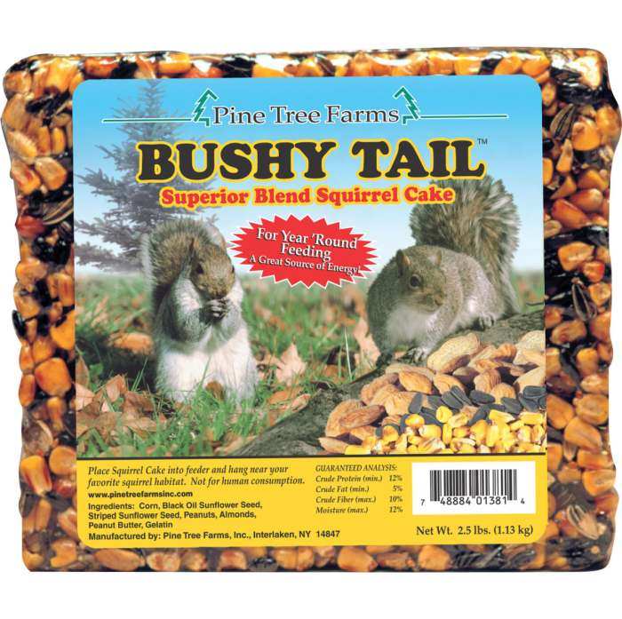 Bushy Tail Cake 6 Pack